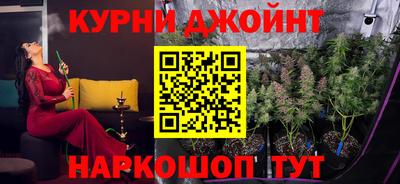 прущие крисы Будённовск