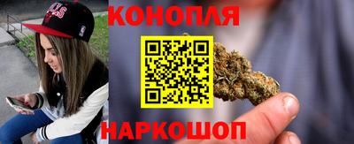 прущие крисы Будённовск