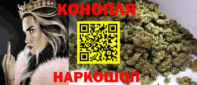прущие крисы Будённовск