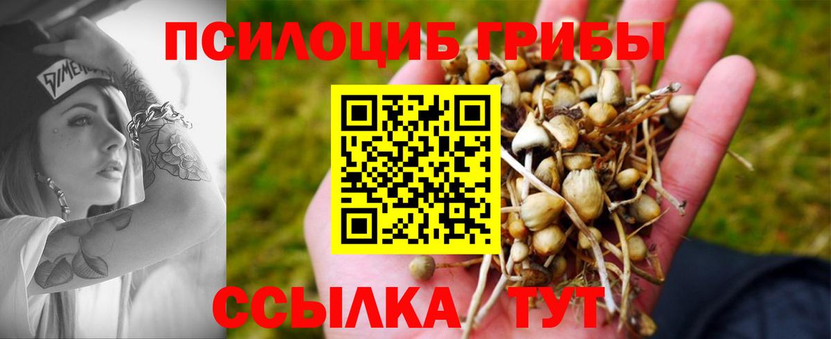 Псилоцибиновые грибы MAGIC MUSHROOMS  Вход с VPN  Усть-Илимск 